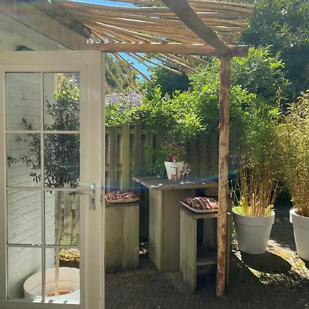 Lief Binnen, Bij Bos Duin En Dorp Appartement Bergen