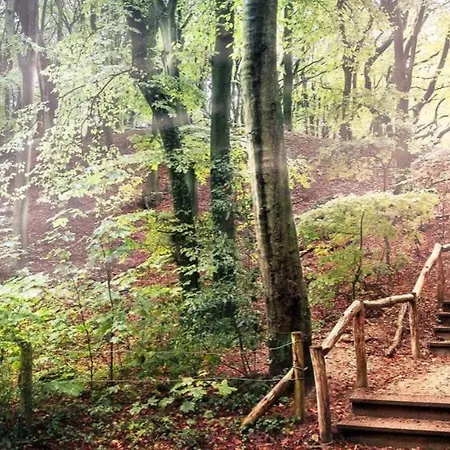 Lief Binnen, Bij Bos Duin En Dorp *