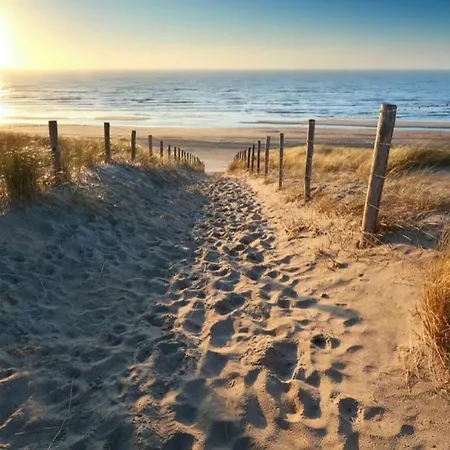 Daire Lief Binnen, Bij Bos Duin En Dorp *