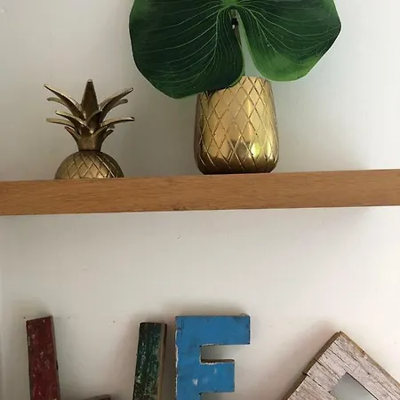 Lief Binnen, Bij Bos Duin En Dorp * Bergen